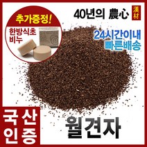 자애인 국산 월견자 600g 달맞이꽃씨 경북의성, 1개