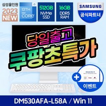 삼성전자 삼성 DM530AFA-L58A 일체형PC 올인원PC 사무용 컴퓨터 데스크탑 (13세대 i5/RAM16GB/NVMe 512GB/Win11)