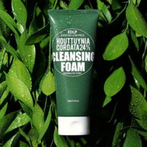 [비건인증] 더마팩토리 EDLP 어성초 24% 클렌징폼 120g