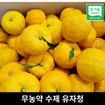 **국산 무농약 수제 유자청** 1kg 유자차 유자엑기스 유자 청 햇유자 고흥유자 전남유자 유자생과 못난이유자 생 햇 못난이 국내산 엑기스, 무농약 수제 유자청 500g, 1개