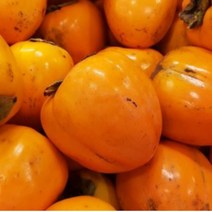 파몰 - 한알 정성 햇 감 청도 반시 진영 단감 대봉감 홍시, 대봉감(홍시), 대봉 중과 5kg (18~23과)