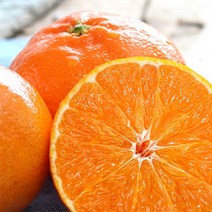 산지직송 제주 레드향 가정용 3kg 5kg 10kg, 대과 3kg