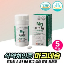 마그네슘보충제 에너지 하루영양제 수험생 남성 여성 MAGNESIUM 추천 고함량마그네슘 영양제 고시생 공시생 운동선수 선물 마그네슘 350 마그네슝 미네랄 해조분말 아미노산 정