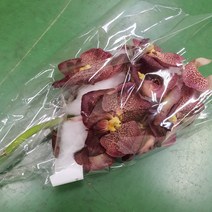 반다 커피 / 고속터미널꽃시장 꽃도매 계절꽃 서리풀플라워