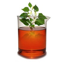 마타바 천연유래추출물 모음 (기타재료), 07-어성초_100ml