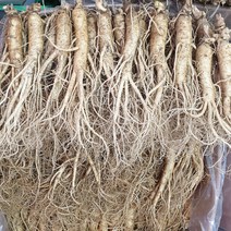 수삼3-1. 수삼 750g 14~16뿌리 무료세척 /27 900, 세척안함
