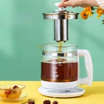 홍삼만들기 전자동 대용량 다기능 약탕기 달이기 티, 그린(필터 포함) 1.8L