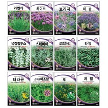 오레가노 유칼립투스 라벤다 오레가노 라벤다 로즈마리 페퍼민트 보리지 허브씨앗 타임 바질 카모마일 차이브 딜 레몬밤 세이지 히솝 소렐 유칼립투스 키우기 심기 재배 정원가꾸기, 가자니아 30립