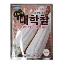 대학찰 옥수수 2000립 농우씨앗
