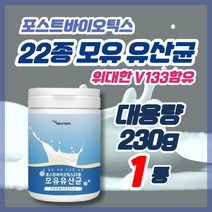 포스트바이오틱스유산균추천 모유유래유산균 22종모유유산균 혼합유산균 성인유산균추천 230g대용량, 1개, 230g