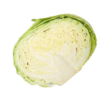 [특급] 양배추 한통