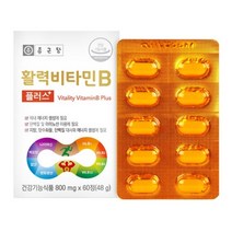 종근당건강㈜ 활력비타민B 활성비타민b 8종 800mg 60정, 60정 x 6개
