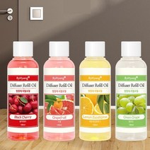 HJ 더허브샵 바이향 디퓨져 리필오일 100ml, 자몽