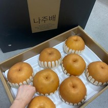 나주 햇배 신고배 프리미엄 추석 선물세트 5kg 7.5kg 착즙용 15kg, 특 15kg (21-25과)