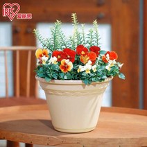 화분 앨리스 라운드 녹색 심기 환경 친화적 인 플라스틱 야채와 꽃 대형, 코르티 화분 - 12 브라운, 중간