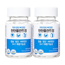 치아탄탄 뼈탄탄 탄탄플란트정, 60정, 2개