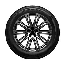 넥센타이어 ROADIAN GTX 로디안GTX, 1개, 225 65 16