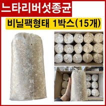[느타리버섯 종균] 15병 버섯종균 표고 느타리 버섯 균 종자, 느타리종균(병) 1박스(15개)