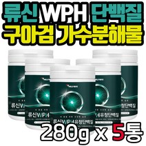 류신 단백질 프로틴 가루 파우더 WPH WPC 아미노산 식사대용 BCAA 로이신 완두단백분말 남성 여성 남자 여자 시니어 노인 한끼식사 쉐이크 보충 구아검 유청단백가수분해물 선물