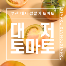 부산 대저 짭짤이 토마토 짭짜리토마토 단짠단짠 2.5kg, 짭짤이 소 (로얄사이즈 추천) 2.5kg