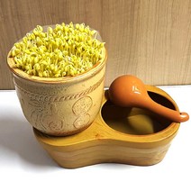 황토 콩나물재배기 5~6인용 콩나물시루 콩나물기르기