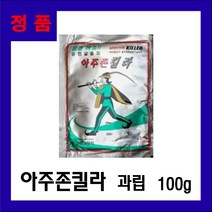 아주존킬라(100g) 파리 날파리 유인제 살충제, 1개, 100g