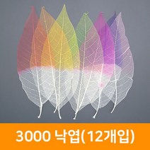 3000 낙엽(12개입), 연분홍