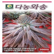 다-와송 3000립