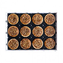 [해피원베이커리] 호두파이 / 호두타르트 12구 15구 영양간식 답례품 설선물 명절선물 설선물세트