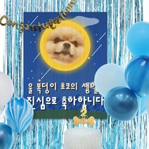 e베이비랜드 풍선+현수막 8종세트 _ 결혼기념일이벤트 1000일기념, 3) ♥제작♥ C1718_마블풍선(블루)+현수막 8종세트