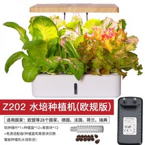 가정용 식물재배기 식물 재배기 스마트팜 미니 수경재배기 수직농장 수경 채소, 플라스틱, Z202 수경재배 미백 유럽규격(유, 중등, 1개