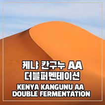 (커피생두) 189 케냐 칸구누 AA 더블퍼멘테이션 1kg, 1개