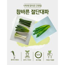 절단대파 500g