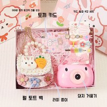 선물 교회 크리스마스 신학기 공주 조명 세트 여아 생일 축하, C