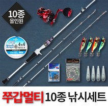 기획 쭈꾸미 올인원 10종 풀세트 C145좌(세팅안함), 단품