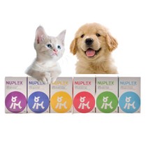 뉴플렉스 골드 강아지 고양이 영양제 심리안정 관절 눈 포스트바이오틱스 면역개선 파우더 50g 70g, 2아이즈골드_눈건강 70g