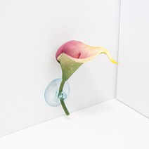 베타플라워 베타침대 [키라꽃 8종], 그린
