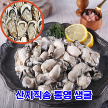 [계절식탁] 영양 만점 산지직송 통영 생굴 하프쉘 깐굴, 1kg