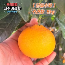 당일수확 고당도 제주 카라향 가정용 3kg 5kg 10kg 제주도귤, 선택2. 혼합과_상품 5kg, 1개