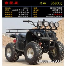 축전동 대소 비치카 4륜 오프로드 모터사이클 전지형 4구동 대형 산악 가솔린 스포츠카, E