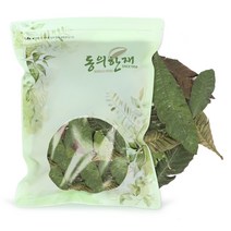 동의한재 자연산 햇 제주 비파엽 비파잎 (100%잎) 100g, 1개