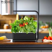 가정용수경재배기 베란다 무토, 다른 6구 블랙 화분