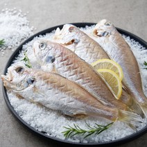 농가살리기 HACCP 통영 반건조 백조기 손질 1kg 2미 3미, 반건조 백조기 1kg(7~10미)