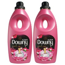 2020 다우니 퍼퓸 초고농축 섬유유연제 블룸 본품, 1L, 2개