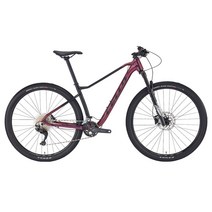 [첼로자전거] XC 10 DEORE 22단 29인치 MTB 자전거 2023, 다크 실버 / 블랙 (티탄), S