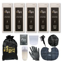 와인브라운 씨드비 시즌2 프리미엄 물염색 염색약 홈쇼핑구성 20회분(염색도구 포함), 1박스