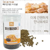 태파스토어 보스웰리아 보스웰리아환 홈쇼핑보스웰리아 보스웰리아가루 보스웰리아분말 보스웰리아추천, 400g, 1개