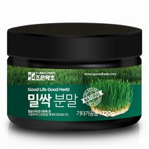 굿허브 밀싹가루 120g, 단품