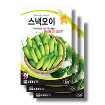 스낵오이 씨앗30립x3 생식용 미니오이 씨앗, 30립x4봉