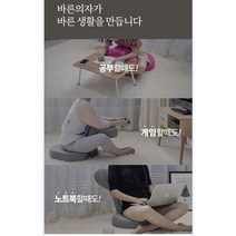 해피미미 접이식 반려의자 6단계 각도조절 높낮이 조절 좌식의자 등편한 등받이 바닥의자 스트레칭 공부 독서 게임 허리쿠션 앉은뱅이 척추 체형교정 게이밍 교정 학생 수유 선물용, 그린
